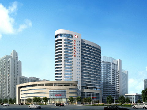 武漢市第三醫(yī)院光谷關山院區工程